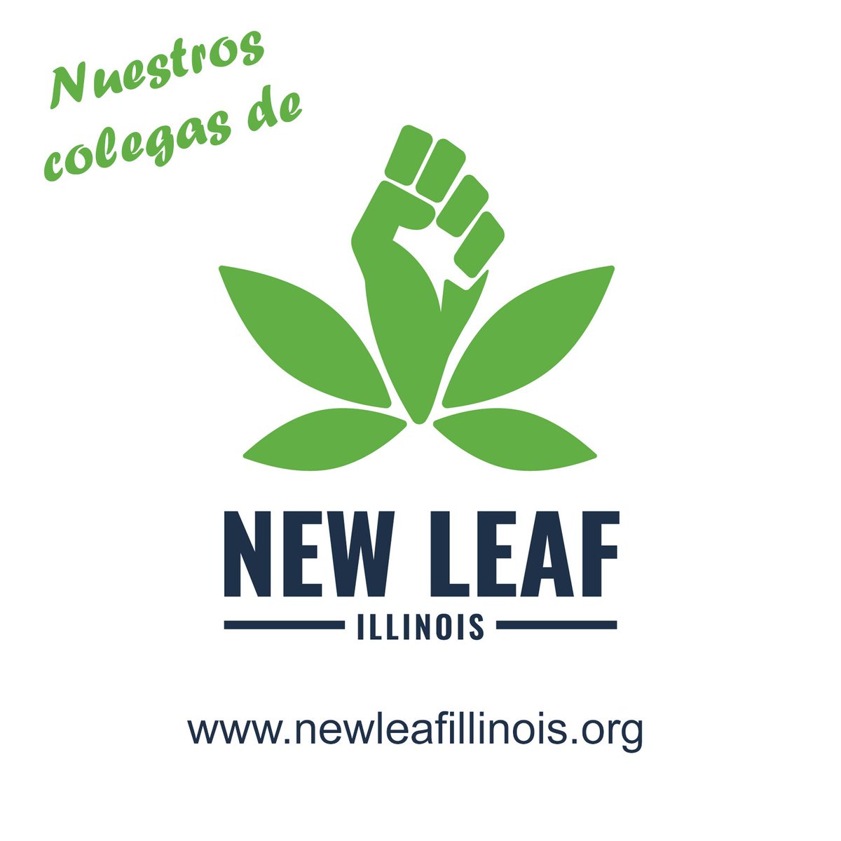 Equip for Equality tweet media