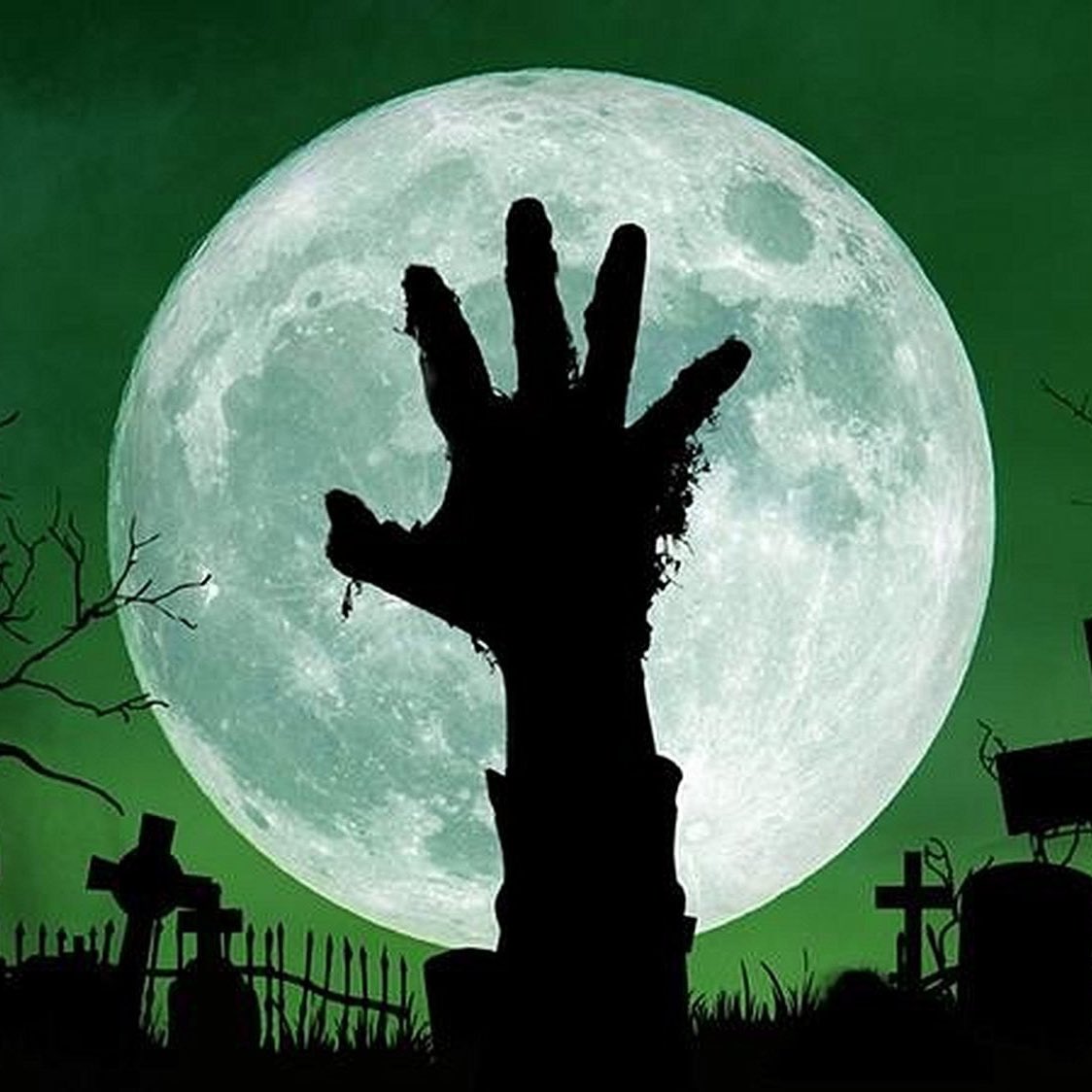 Gusholder Haber Bülteni tweet media