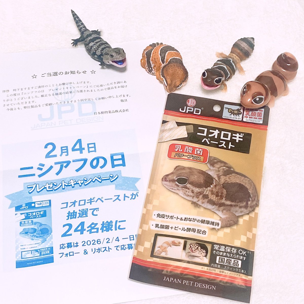 先日のニチドウさんのキャンペーンに当選しまして、本日コオロギペースト届きました🙌🙌🙌🙌ありがとうございました！
我が家では春助（ｱｵｼﾞﾀ）が一番喜んでおります💕🥰嬉しいね！