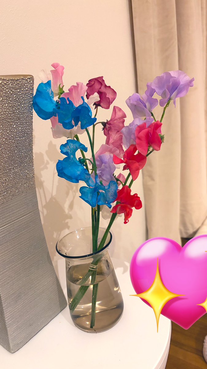 kakaka_30's tweet photo. 同居人が花が好きなのでときどき買って帰るのですが
いろんな色のスイートピーがあってキレイでした https://t.co/PxPeulCzNE
