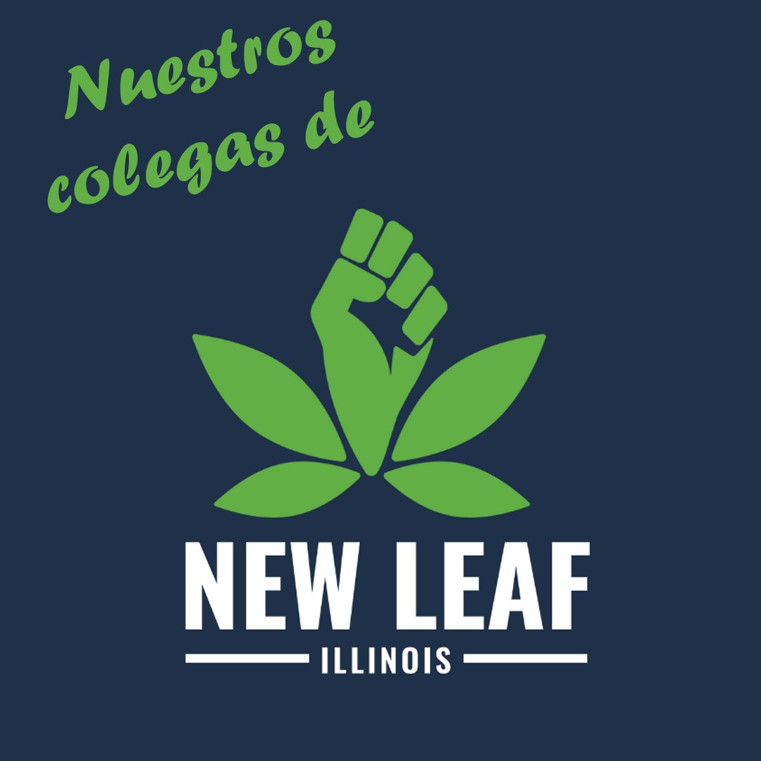 Equip for Equality tweet media