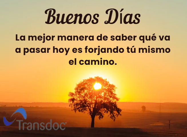 transdoctrabajos tweet media