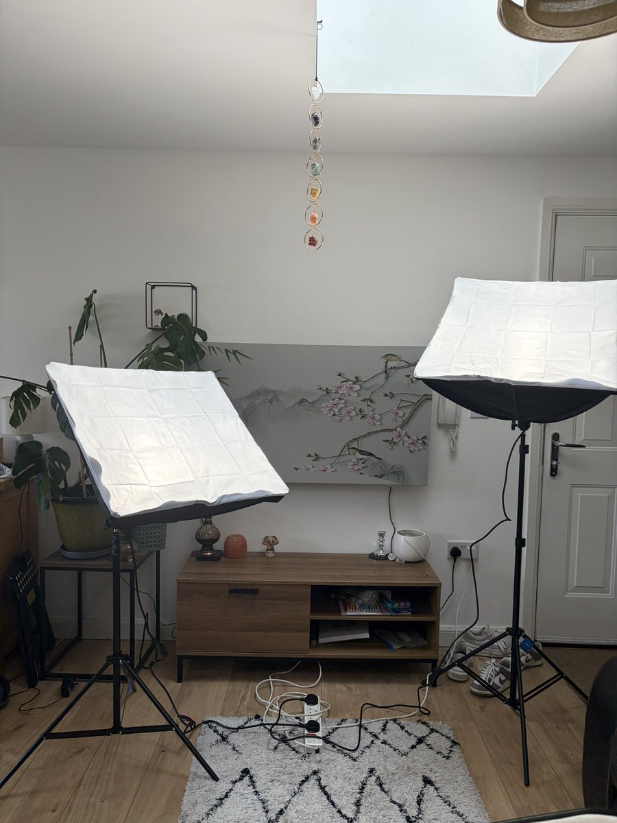 ZoeyZiptie tweet media