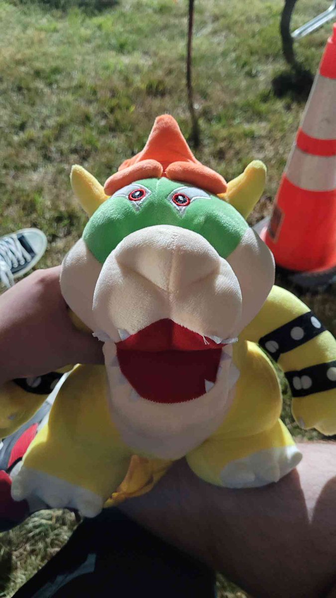 You should've seen the bowser plush I got at my towns local fair 😭