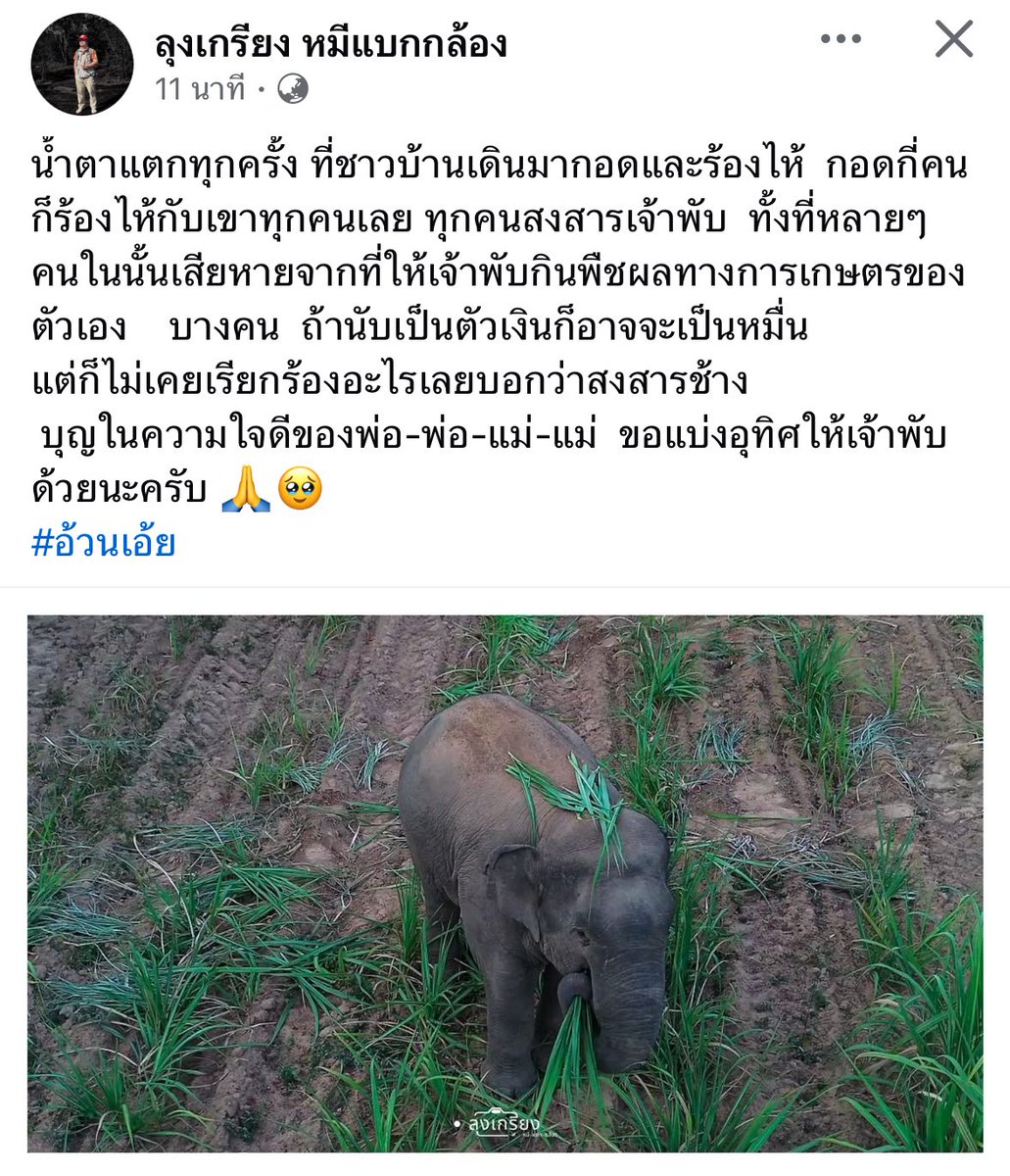 เอาจริงชาวบ้านเค้ารักหูพับมากนะ เค้าเสียใจมากกก บางคนเอาผลไม้ไปให้พับทุกวัน
แต่นั่นแหละ มันเพราะแค่อินายทุนพวกนั้นนั่นแหละ