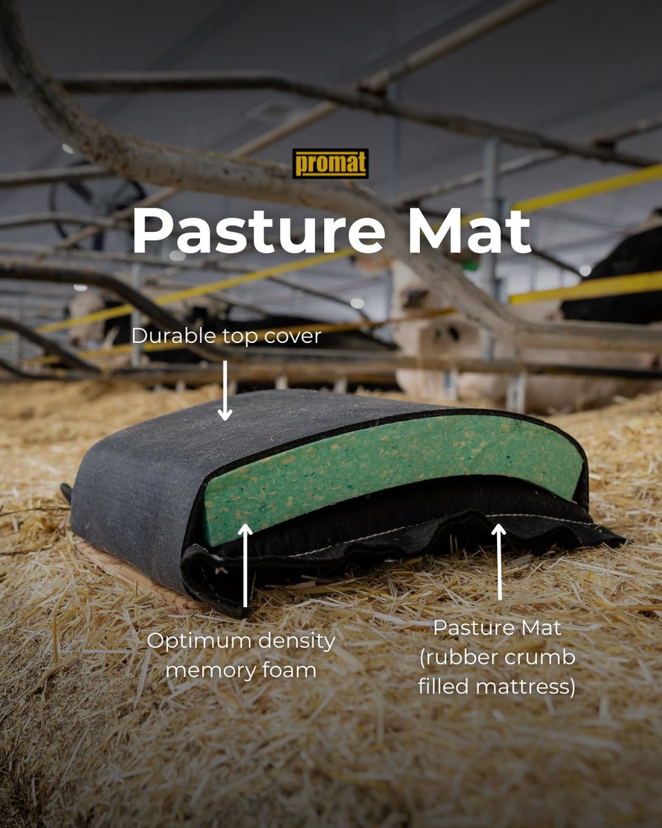 Promat Inc. tweet media