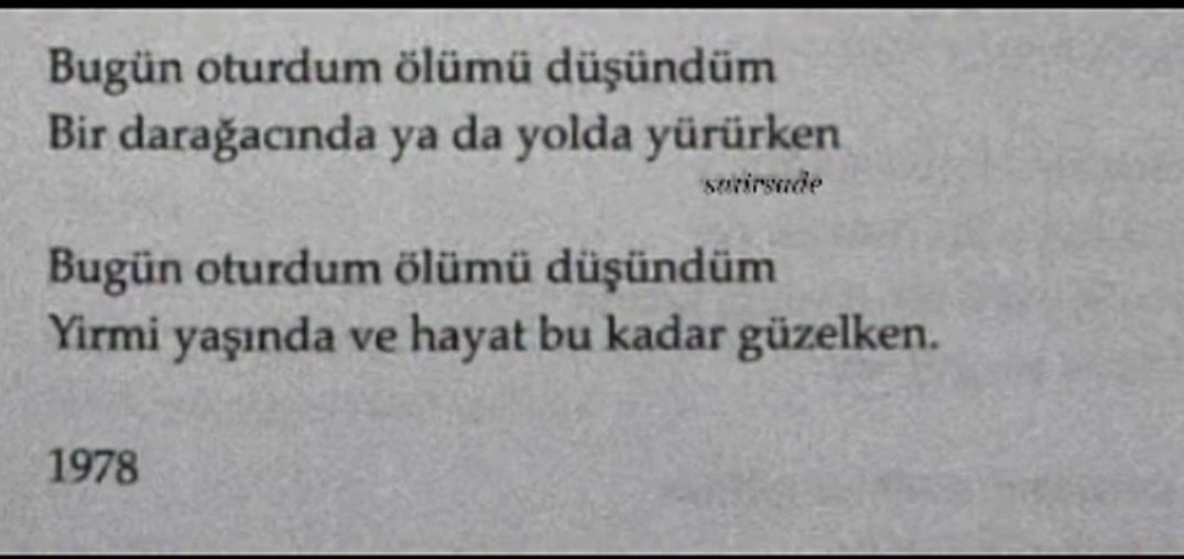 Aynur✨ (@the_aynur1) on Twitter photo 