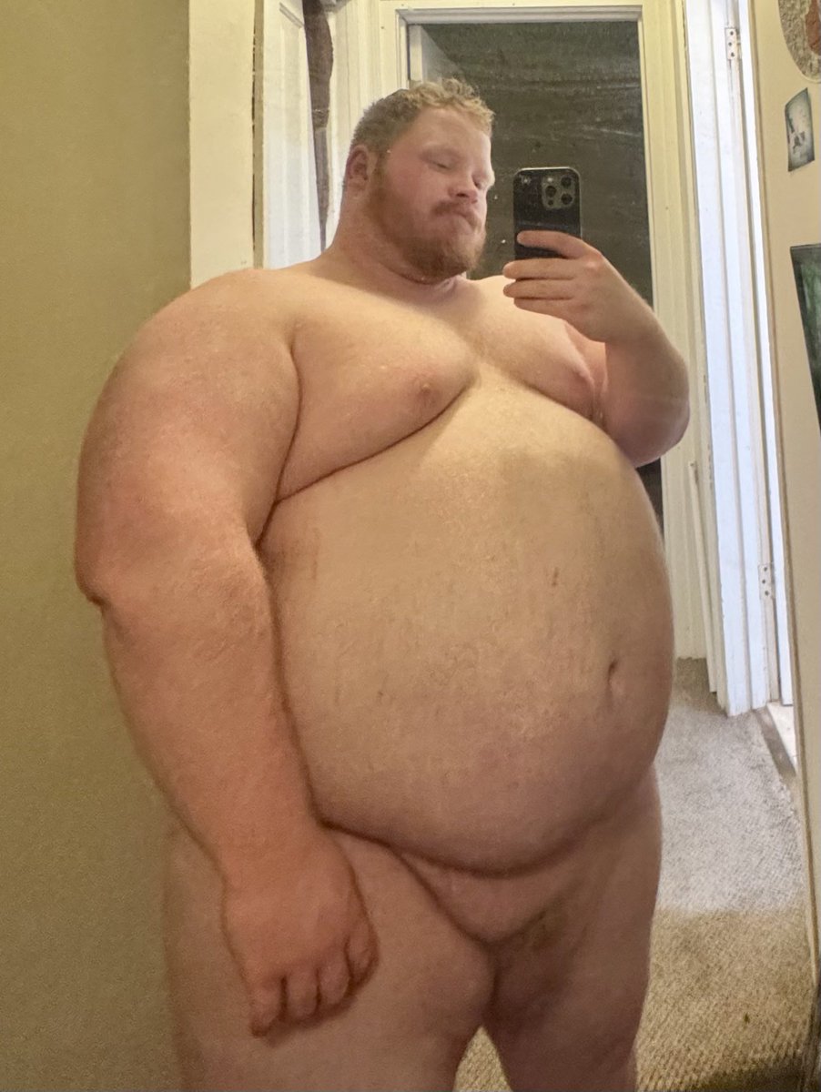 roaminghog tweet media