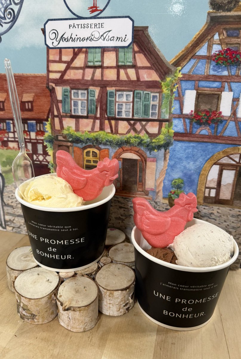 setton_chocolat's tweet photo. ヨシノリアサミさん
クプアス、チョコミント、ビターチョコ、ラムレーズン

アサミさんのアイス🍨友人とシェアしました！
全部美味しくて好きですがこの4種は特に好きです🤤 https://t.co/qCaKs1oYIV
