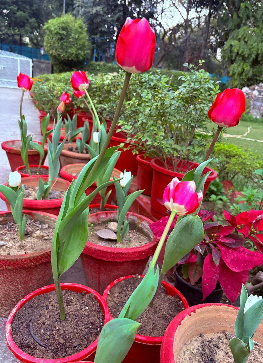 Dr Rajat Bhargava IAS tweet media