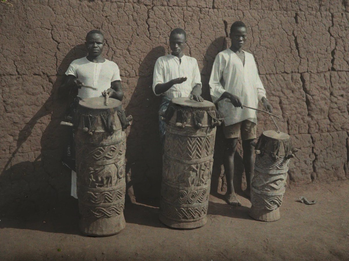 Ana Lucia Araujo, PhD tweet media