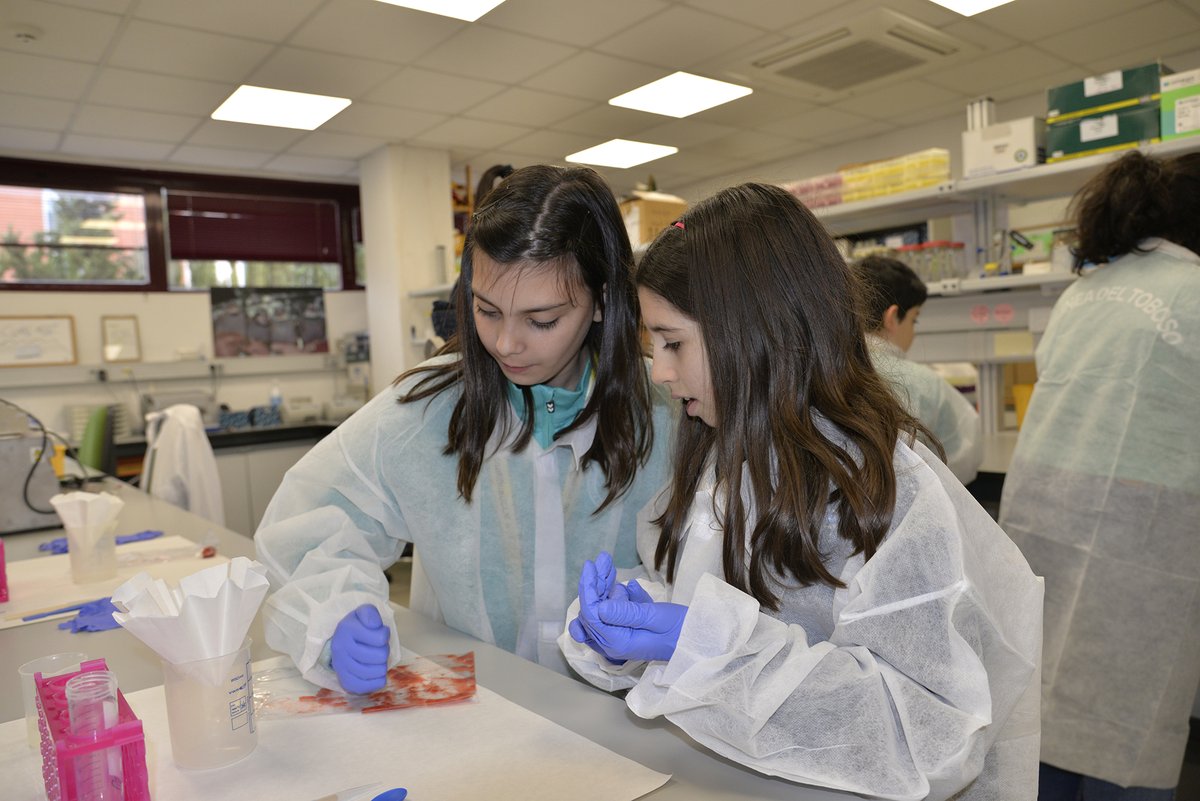 Universidad de Castilla-La Mancha tweet media