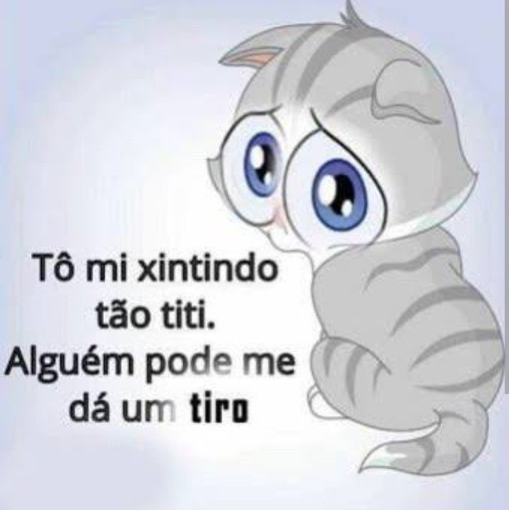 perfil dedicado a gatinhos e peitos (@odeiootaco) on Twitter photo 