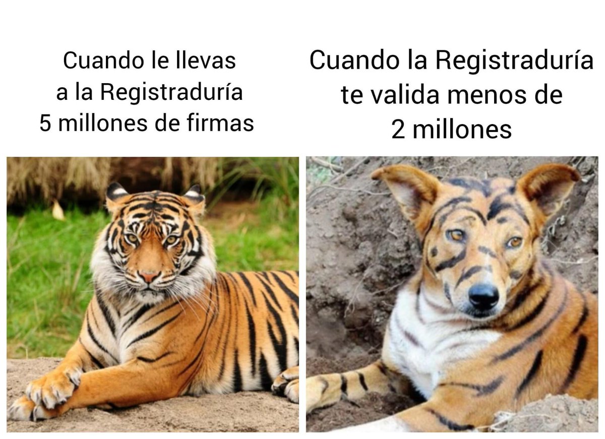 Escupí mi café Águila Roja 🤣🤣