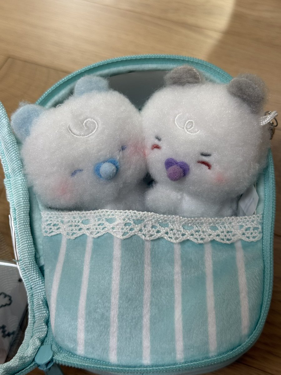 plli_250409's tweet photo. 이렇게 파우치에 같이 넣어놔도 귀엽네요 🥹 https://t.co/pTpvq9PbSM
