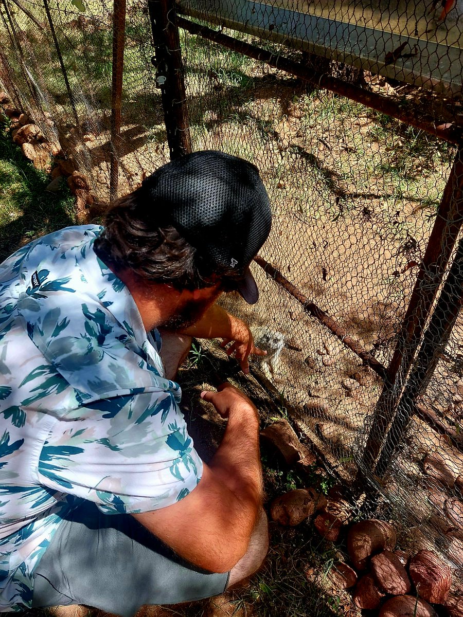 FloofyMoogle's tweet photo. Wild adventures with my favourite person. Wouldn't have spent it any other way. 🌿🐆

#nature #Cheetah #lion #gamedrive #love #couple #bluesky https://t.co/gdL0DAP5eF