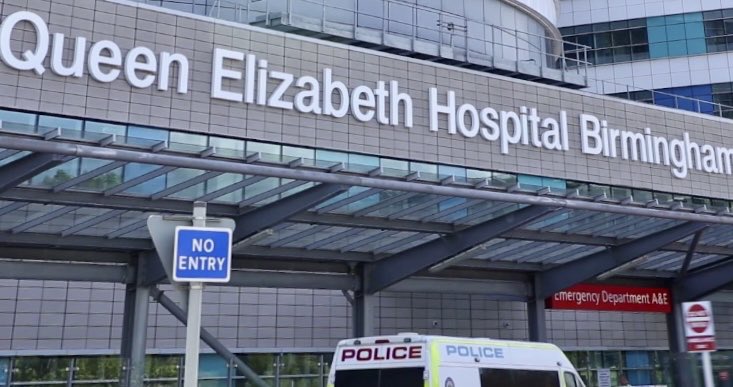 Deaf News Today tweet media