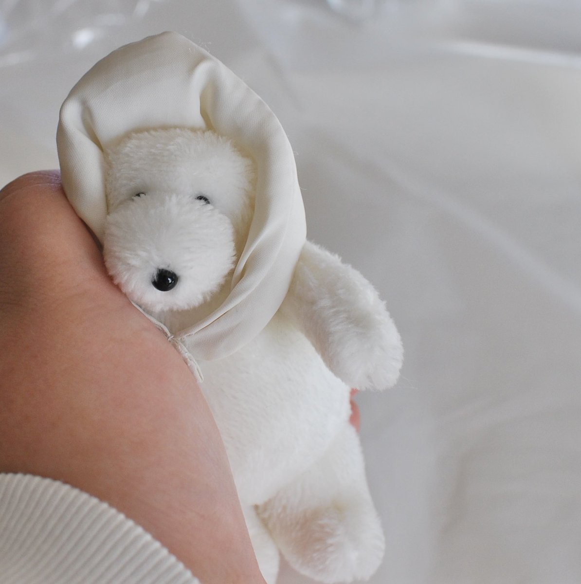 カネヒラ (@simainusima) / Posts / X