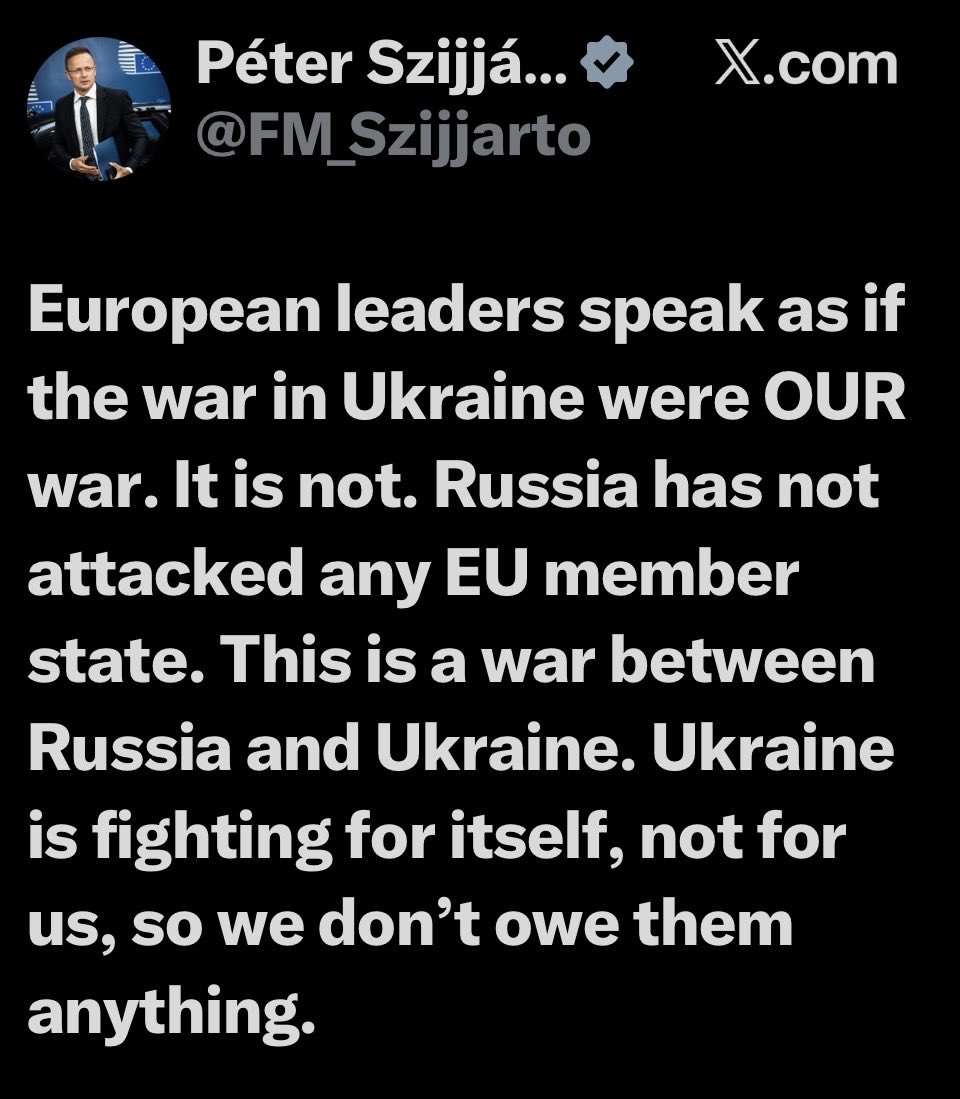 Peter Buda tweet media