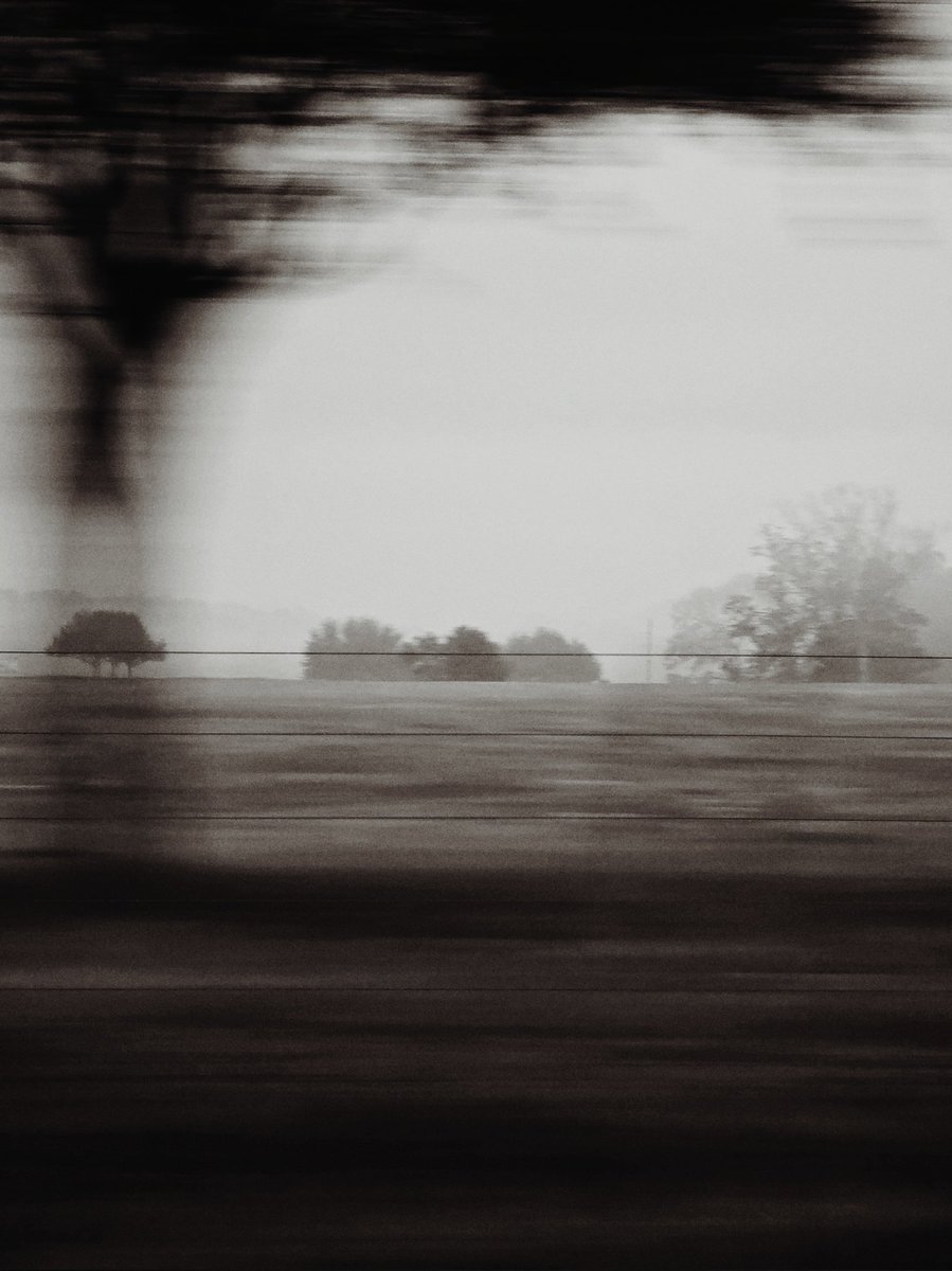 S.A. Franco (@sylviafranco) on Twitter photo 