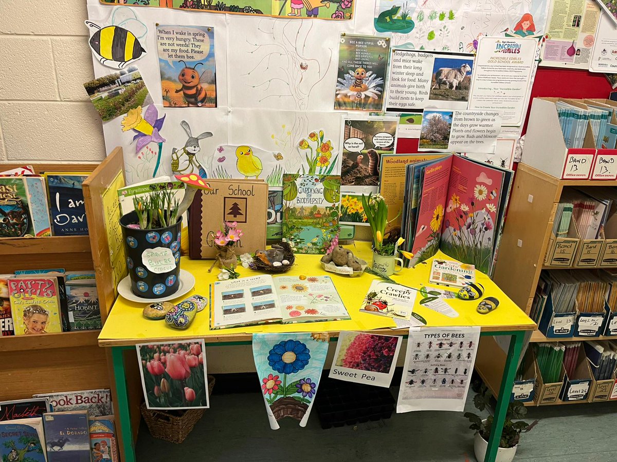 SaintThomasSNS's tweet photo. Our spring nature tables are on display #biodiversityireland @biodiversityireland https://t.co/hI9LyxbFZV
