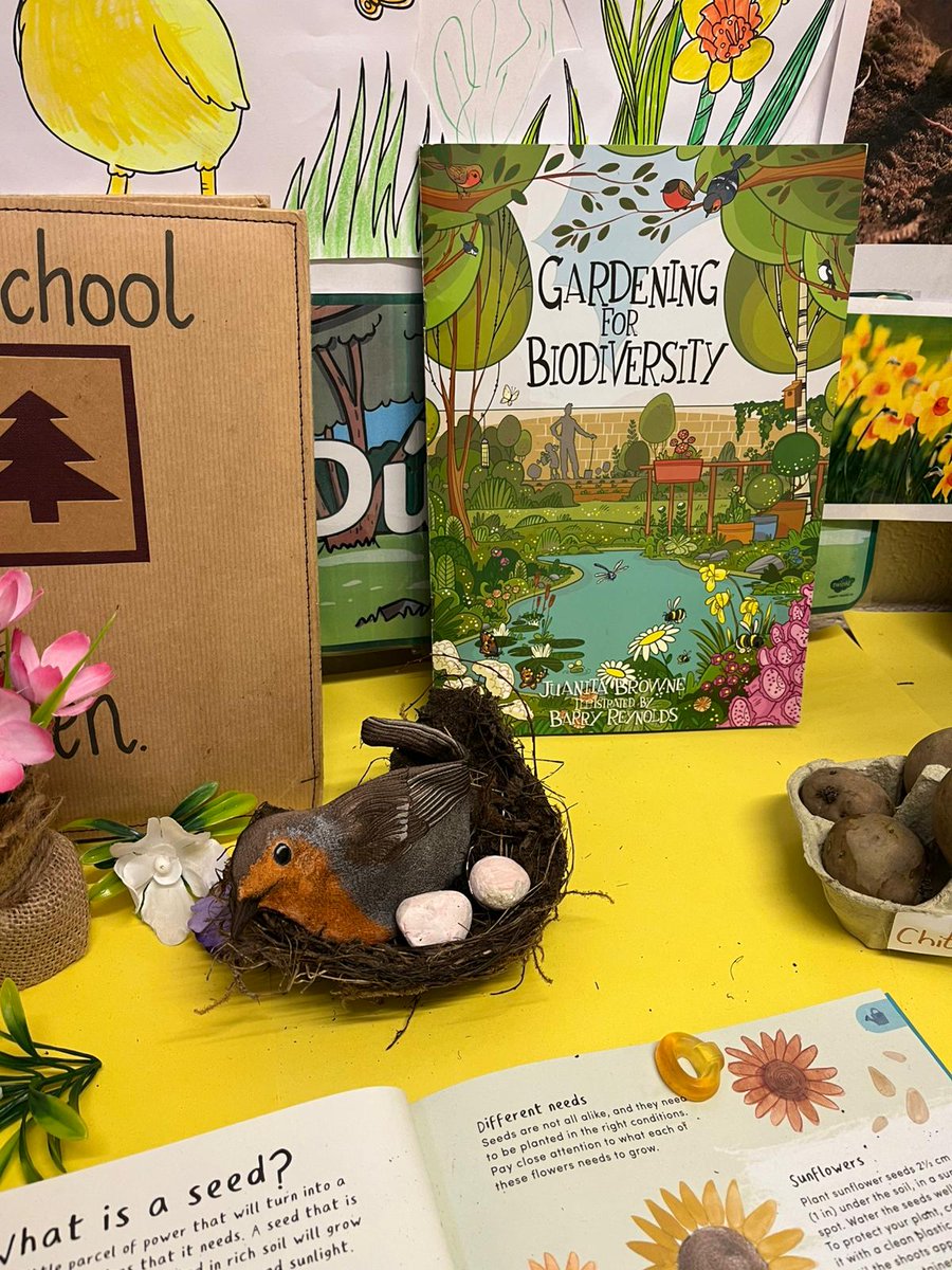 SaintThomasSNS's tweet photo. Our spring nature tables are on display #biodiversityireland @biodiversityireland https://t.co/hI9LyxbFZV
