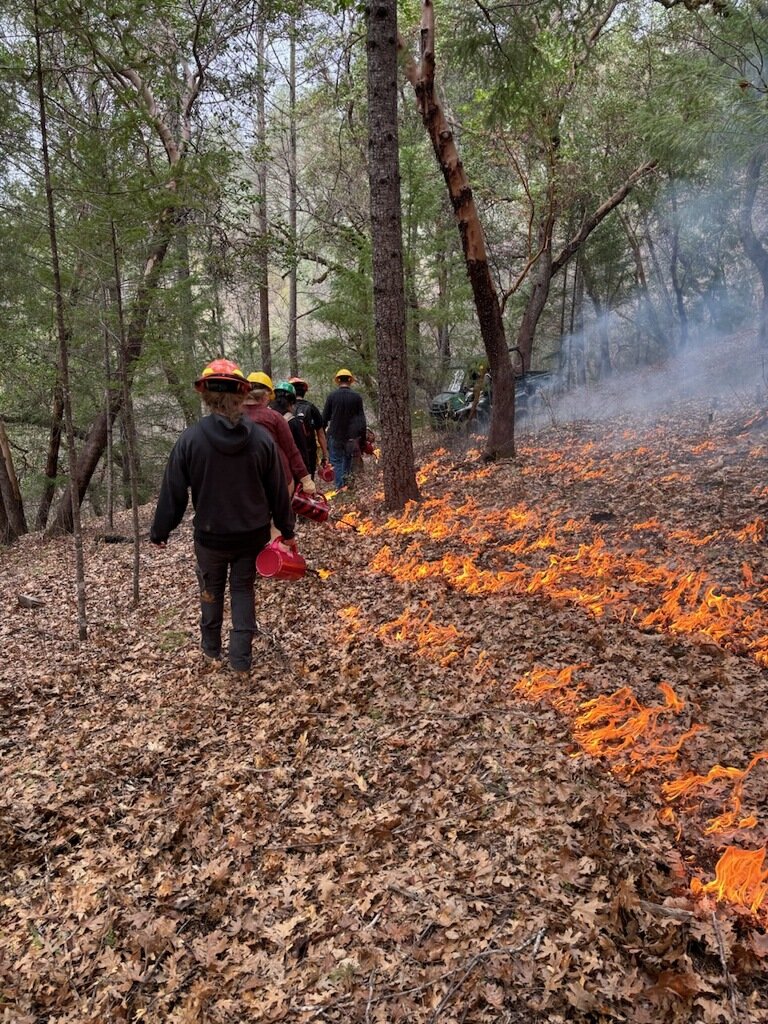 #prescribedfire #rxfire #controlledfire #prevention #community