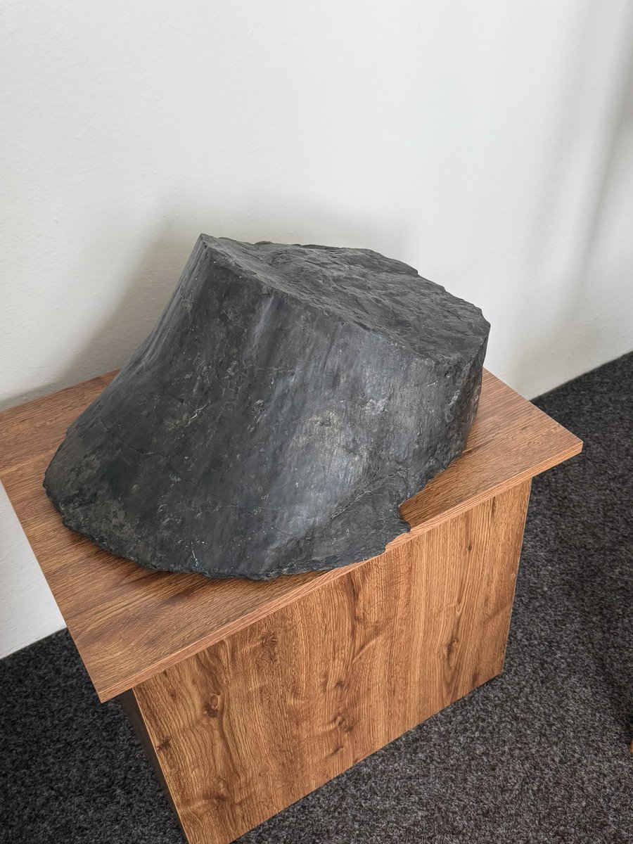 Jan Světlík tweet media