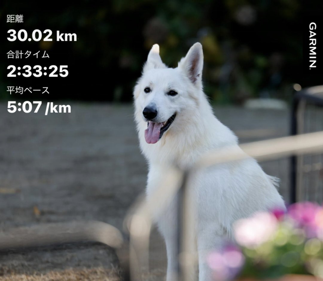 And Hibari-kun tweet media