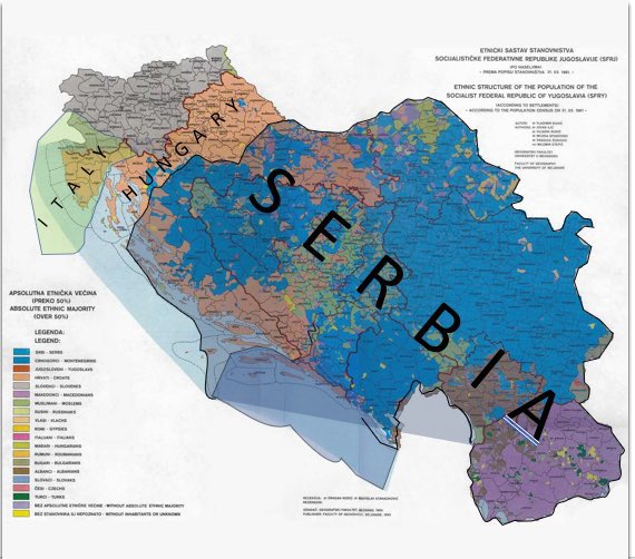 GiorgioSanto tweet media