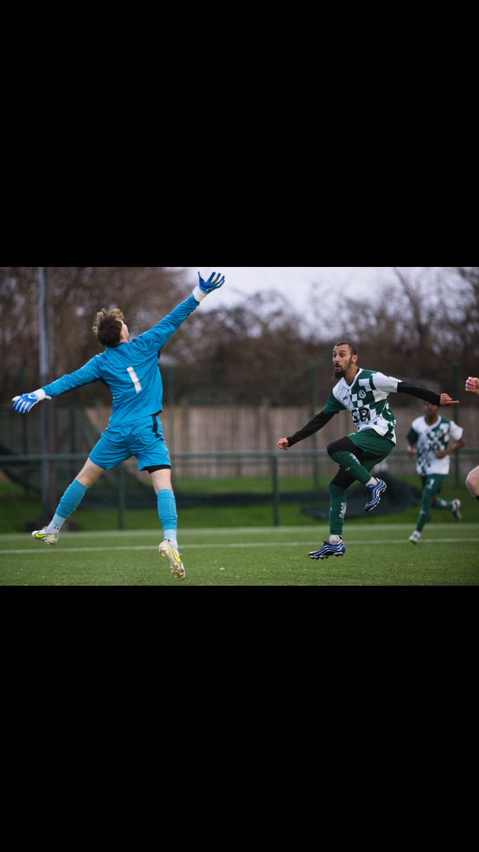 hamzinho o fenomeno tweet media