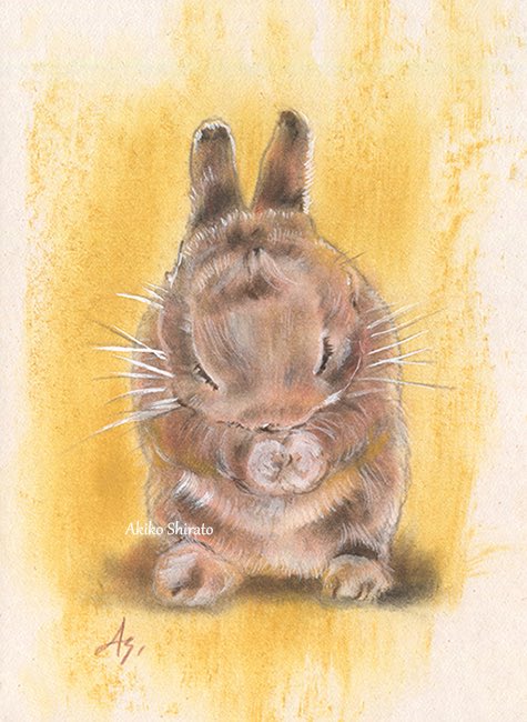 しらとあきこ (@akipcs) / Posts / X