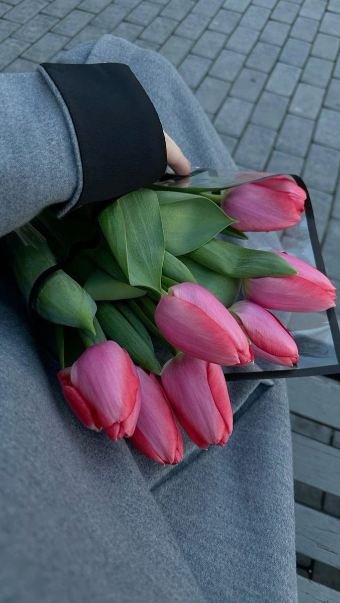 Only Tulips (@tutututututulip) on Twitter photo 
