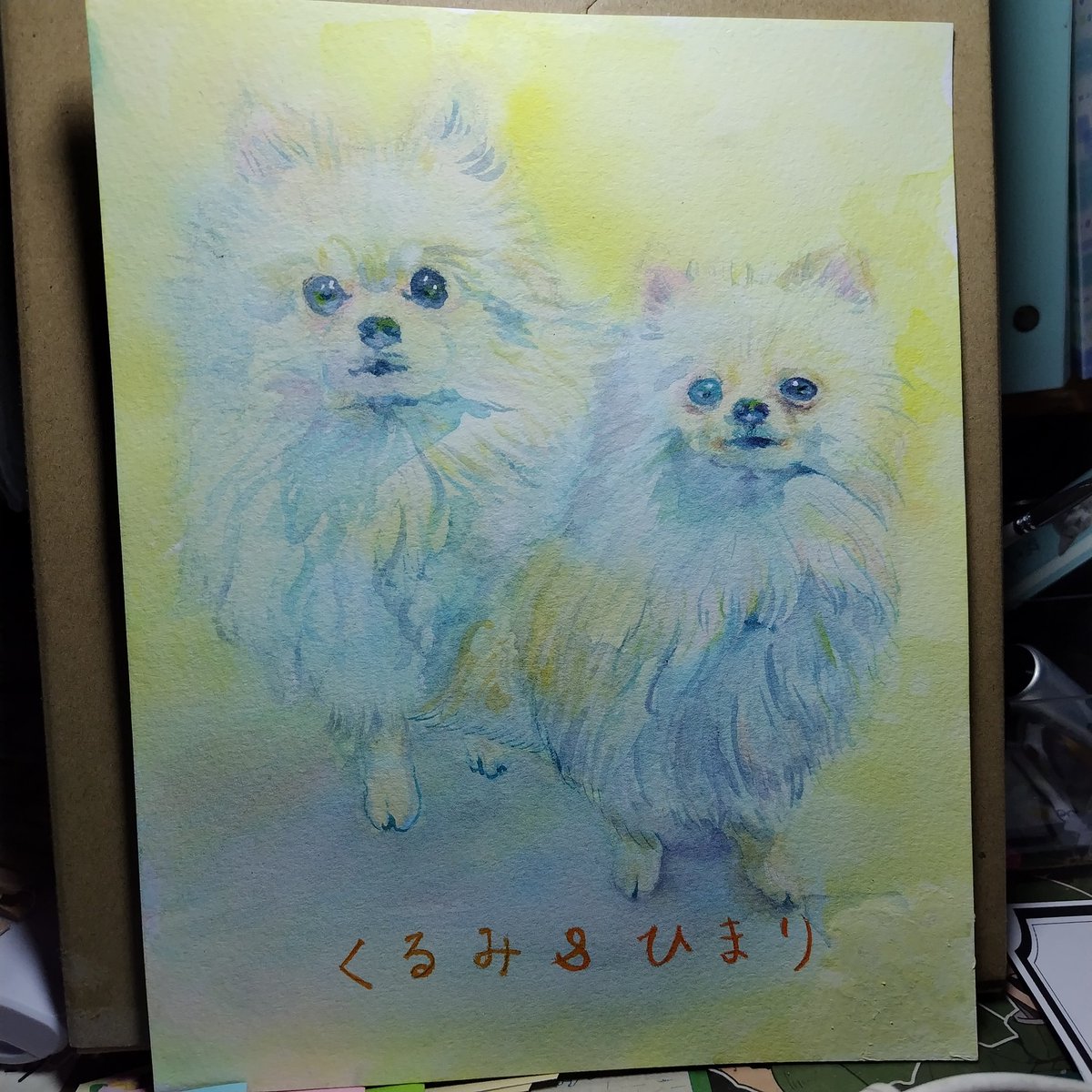 pome_sisters's tweet photo. 光本明莉さん(@42bwte )のかわいいきゅるぽめちゃん白をお迎えしました🥰
一目惚れでした🐻‍❄️💕
あれ？オーダーしたっけ？と思うくらい見ていると胡桃と陽鞠に見えてくる(親バカ)🤭💦
黒ポメちゃんと茶ポメちゃんの原画もありますし、愛犬の水彩画もオーダーできますよ♪

#ポメラニアン
#犬のいる暮らし https://t.co/Snry6SCdJk