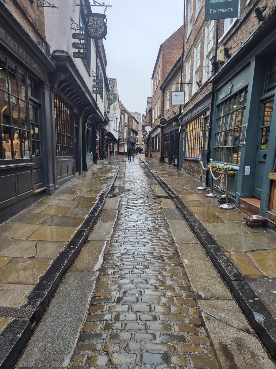 Ava 🤍 tweet media