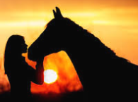 hapont's tweet image. No niego que te quiero todavía,
es profundo el amor que te entregue
me duele renunciar a lo que quiero
no puedo voltear el mundo al revés
En el camino de la vida hay mil tropiezos
a cada paso peligramos en caer
yo contigo miraba todo distinto
era bonito soñar cuando te encontré."