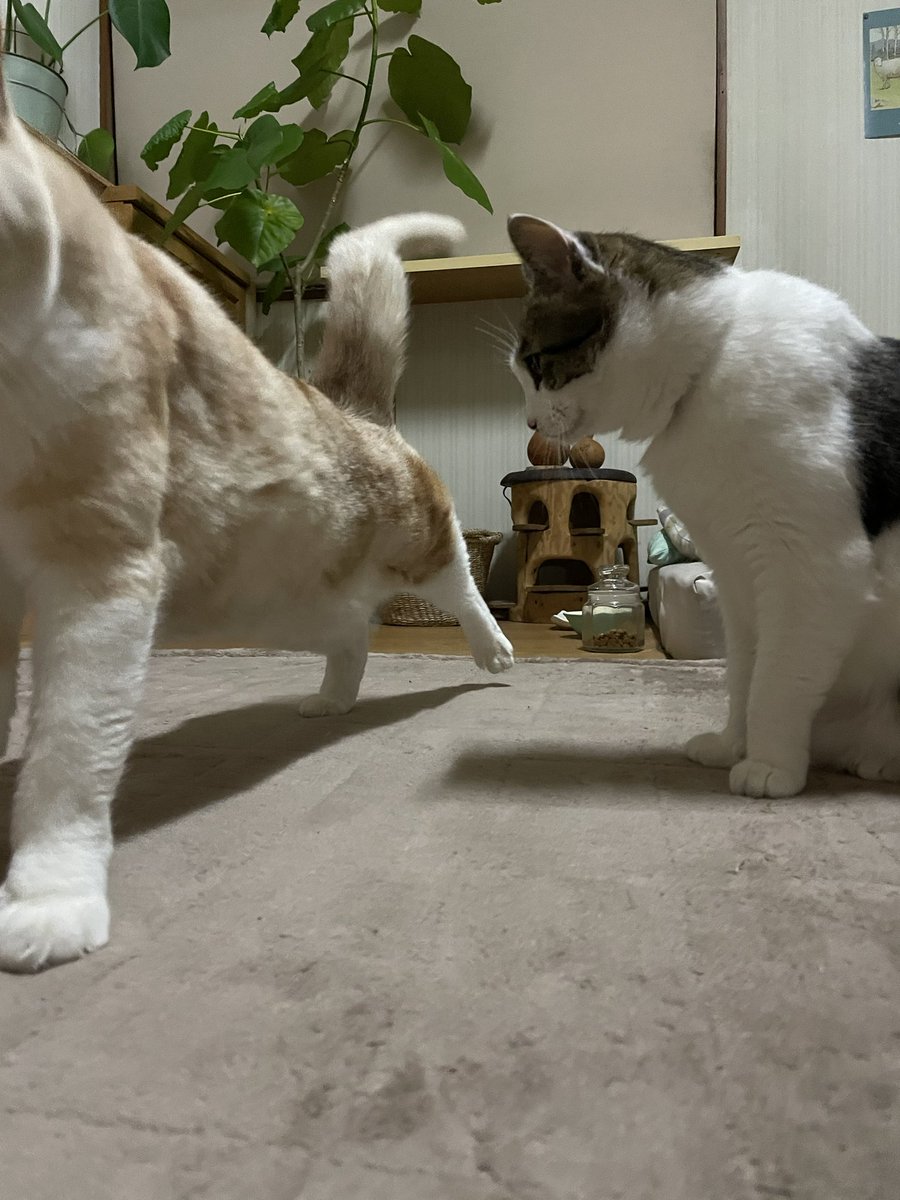 足ピーンを見せつけながら通過