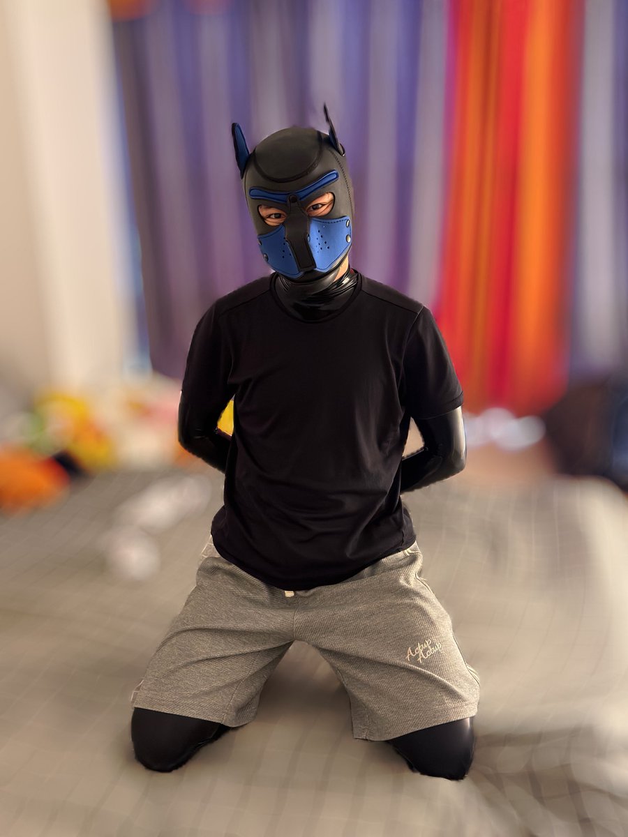 Rubberali's tweet photo. 新人rubber报道
#rubber #rubber狗狗 #紧身衣 https://t.co/sdptpY5jgI