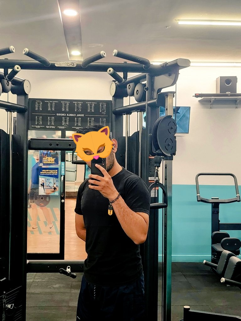 Ayam Semesta tweet media