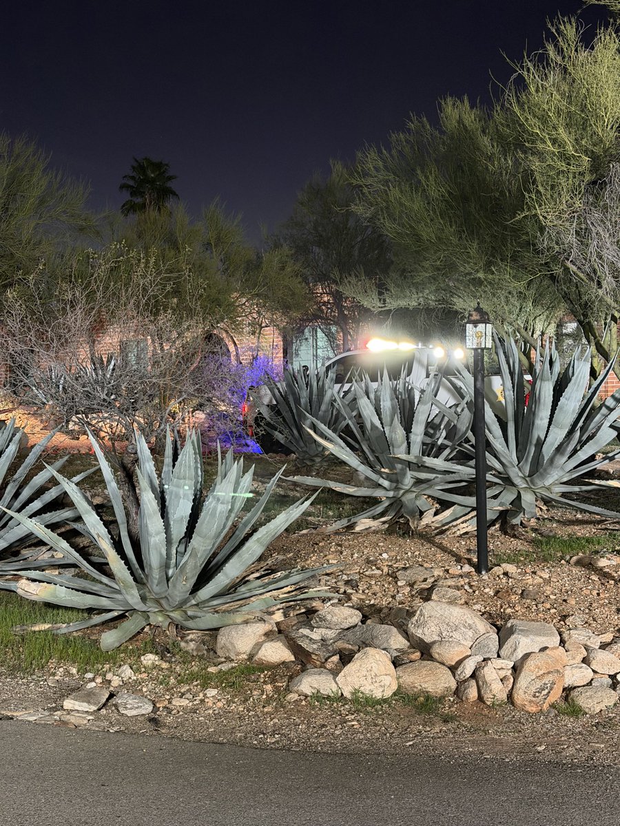 Danielle Miller FOX10 tweet media