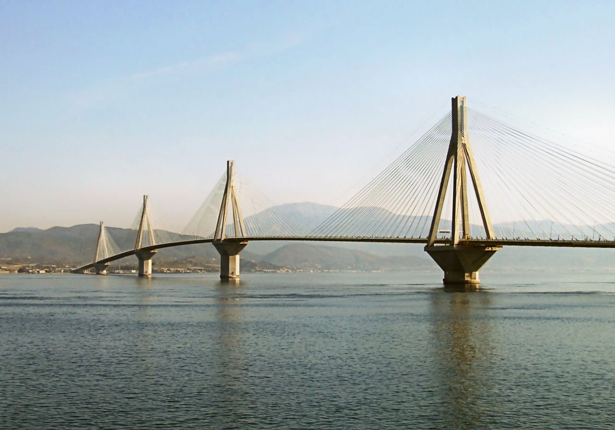 Shachar Lotan tweet media