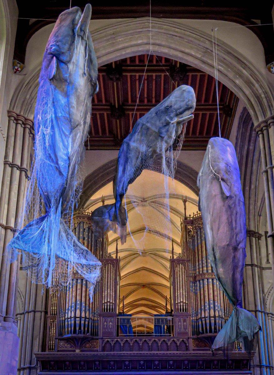 Mr.G - Longy - Graham tweet media