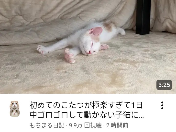 はなざくろ (@hana_zakulo) / Posts / X