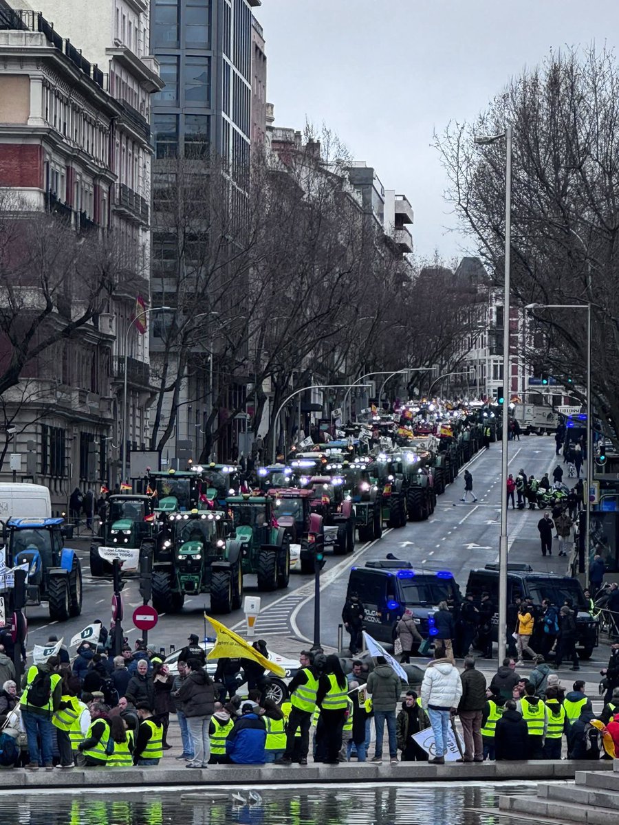 El campo español dice basta.

Agricultores y ganaderos se concentran hoy, 11 de febrero, en Madrid con una gran tractorada para defender su trabajo y su forma de vida.
