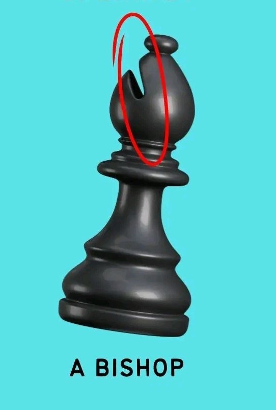 <a href="/GMIgorSmirnov/">Igor Smirnov</a> That "opening" on the top of the chess bishop is a fascinating remnant of the game's global evolution! It serves both a historical and a practical purpose: 
Historical Origins: Originally, the bishop was a war elephant in the Indian game of Chaturanga. The slit was initially