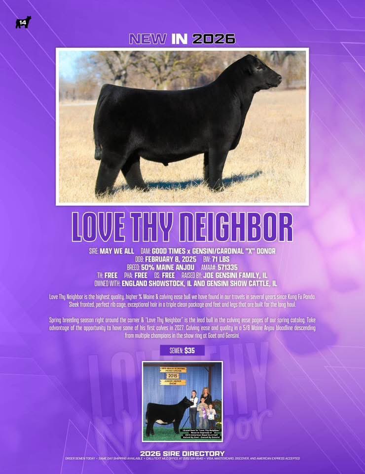 mattlautner's tweet image. #Wednesday

Thank You Cattle Visions For Your 2nd Order This Week 

-100 New Workd Order 
-100 Problem Solved 
-100 Love Thy Neighbor 
-50 Jumpstart 

#OrderToday