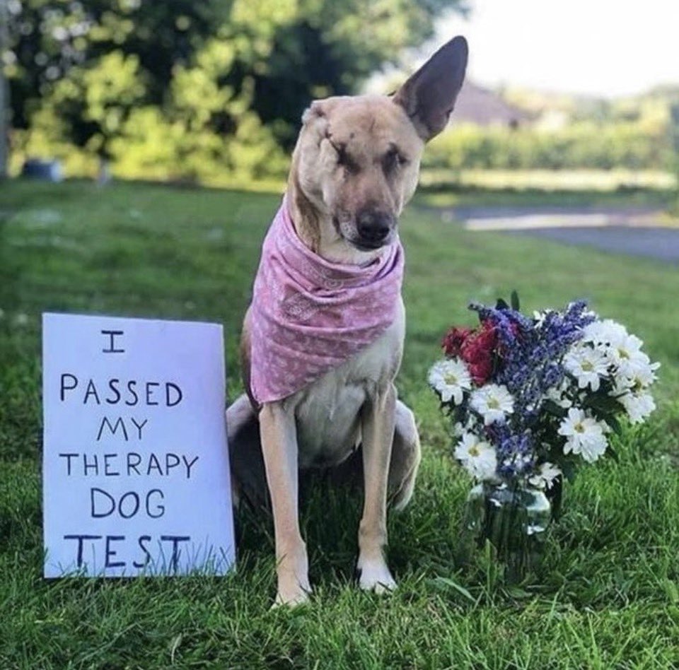 PROTECT ALL WILDLIFE tweet media