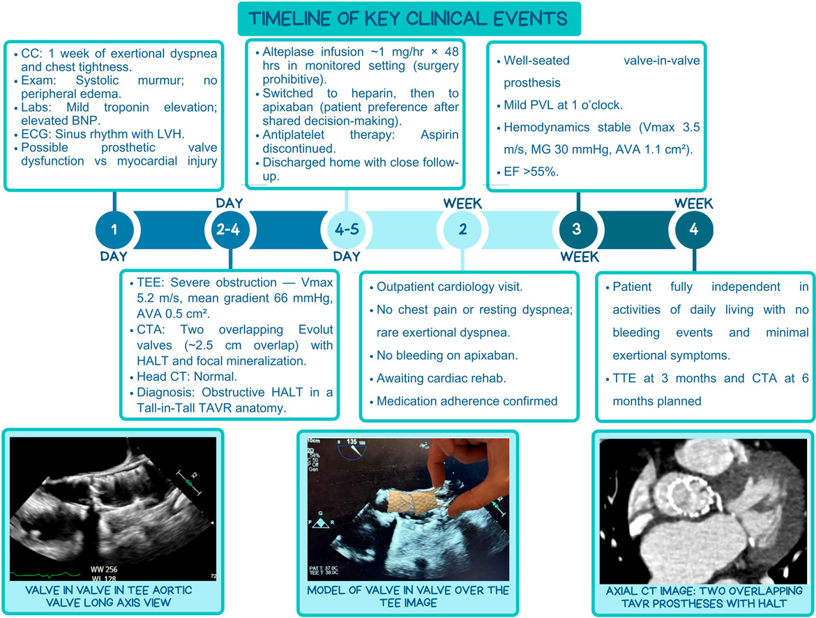 Shrestha DB tweet media