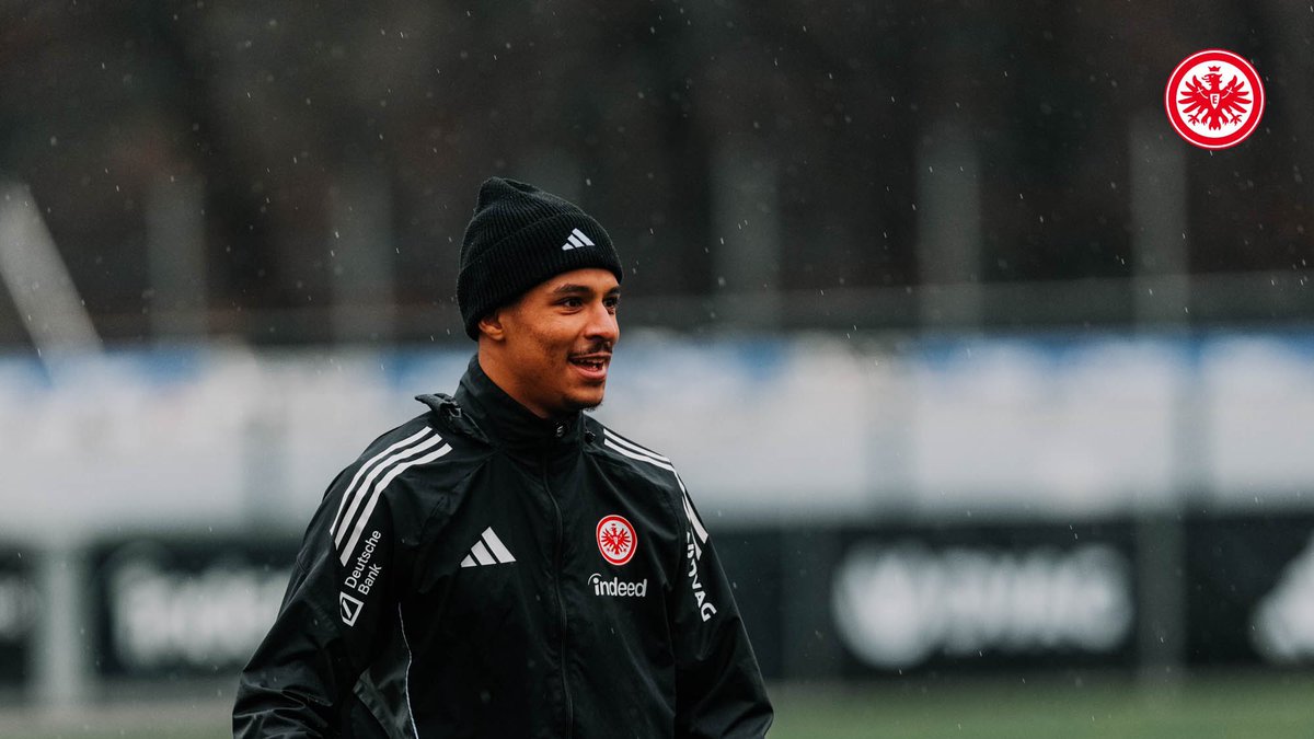 しおん🦅 (@shn72fb) / Posts / X