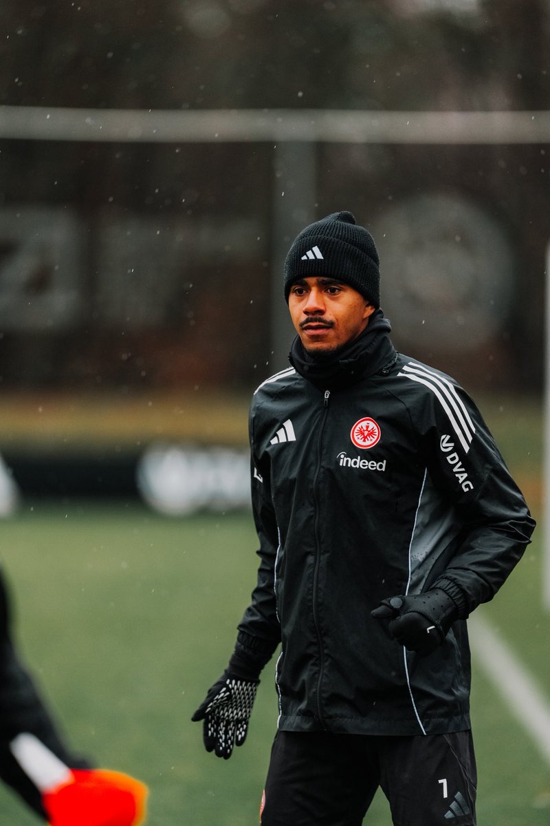 しおん🦅 (@shn72fb) / Posts / X